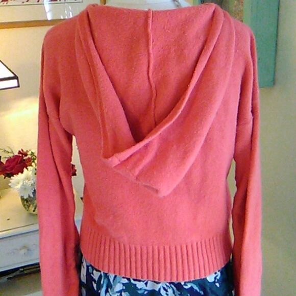 Moth by Anthropologie Hooded Sweater - Picture 8 of 13